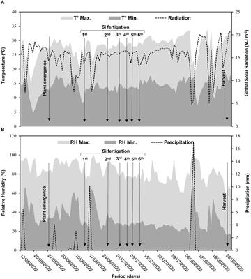 Increased absorption and use of nutrients induced by Si is an indicator for tolerance to water deficit in a common bean cultivar cultivated in the field with and without application of K